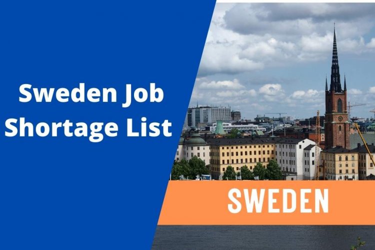 A list of shortage occupations in Sweden 2022 Clive Olimba